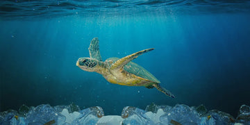 Packaging Matters: Landfill-biodegradable & PCR. Our commitment to a cleaner planet.